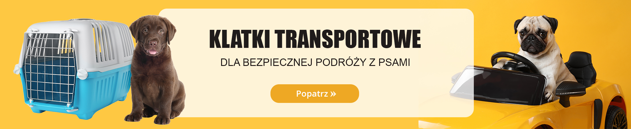 Klatki transportowe dla psów