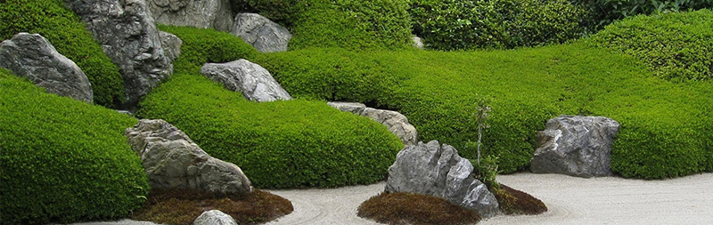 Japonská zahrada se stojícími kameny
