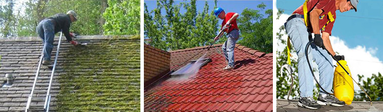Způsoby odstranění mechu ze střechy