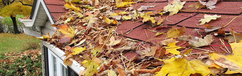 Listí i větvičky mohou okap ucpat a způsobit nemalé problémy.