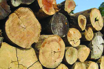 dřevo na vytápění