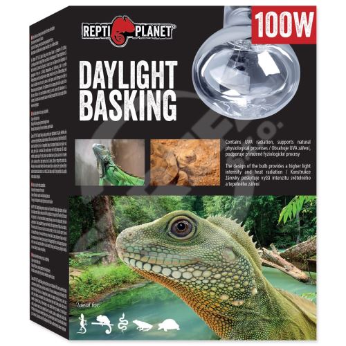 Žárovka Daylight Basking Spot 100 W