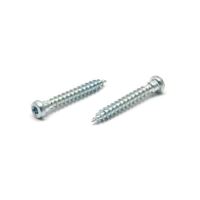 Vrut do dřeva MTK PH T20 4,8 x 25 ZB s půlkulatou hlavou TORX / balení 500 ks