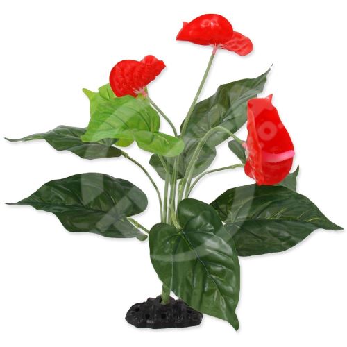 Dekorace Repti Planet Rostlina kvetoucí Anthurium 40cm