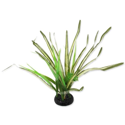 Rostlina travina Spartina 30 cm 1 ks