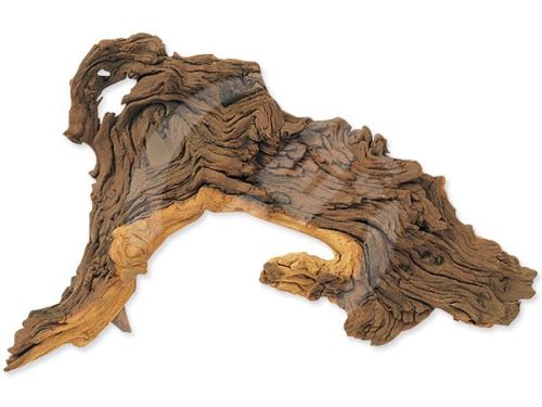 Dekorace Hobby Dohse kořen Tropical wood S