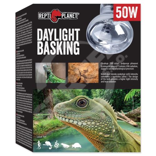 Žárovka Daylight Basking Spot 50 W