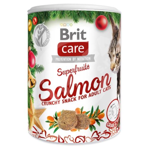 BRIT Care Cat Christmas Superfruits 100 g