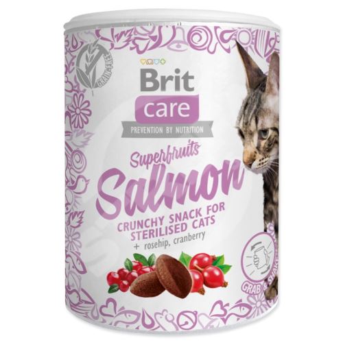 Pochoutka Brit Care Cat Snack Superfruits losos 100g