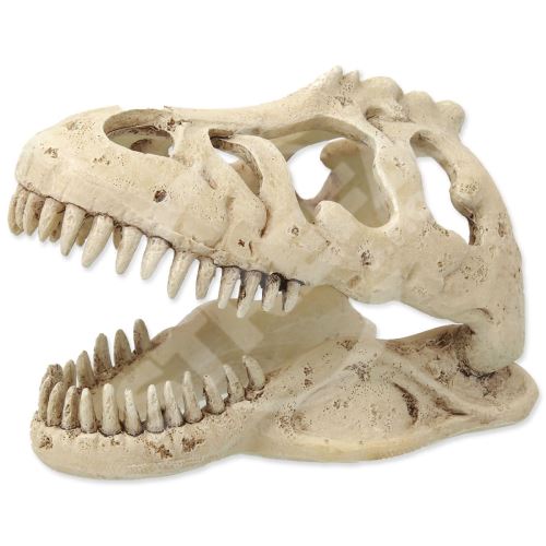 Dekorace Repti Planet T-REX lebka 13,3x8,5x9cm